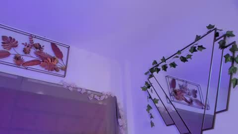   online show from November 29, 12:18 am