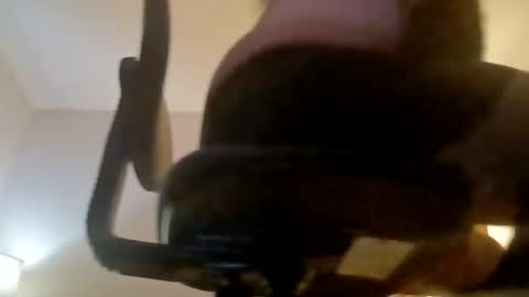 boredaf6678 online show from February 19, 2:33 am