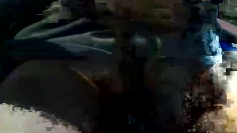 botofogo online show from November 20, 5:06 am