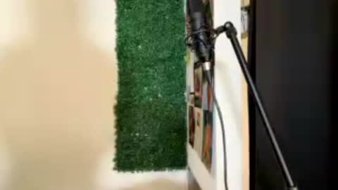 Pixel Pleasures online show from July 13, 12:47 am