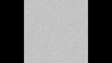 bradysboy online show from October 19, 9:25 am