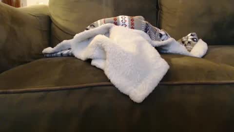 brandondot online show from December 31, 8:04 am