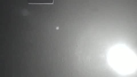 brazillllondonn online show from January 18, 9:56 am