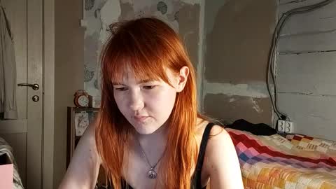 Dina online show from March 23, 8:30 am