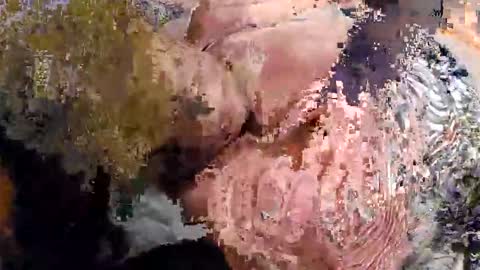 breezonbye online show from September 10, 10:27 am