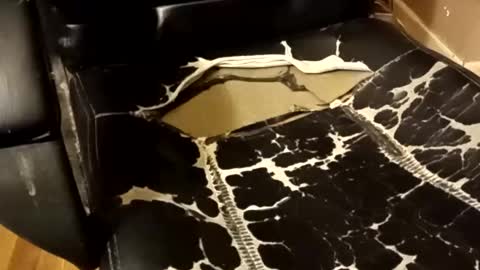 BB online show from December 14, 1:34 am