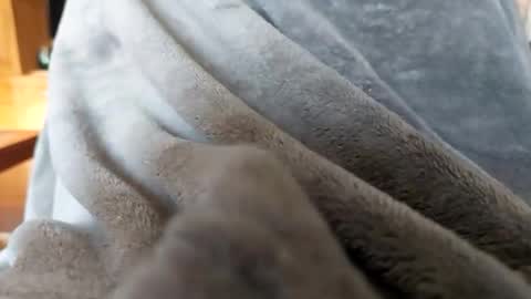 brianriver online show from March 10, 2:43 pm