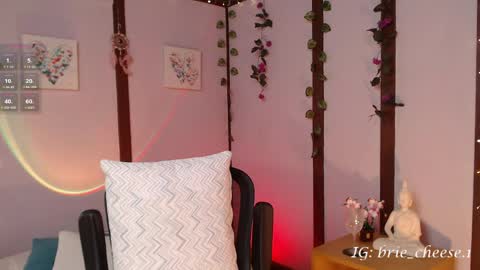 Brie  Ill be away November 2829 and 30. See u on Sunday for more fun online show from April 16, 8:09 pm