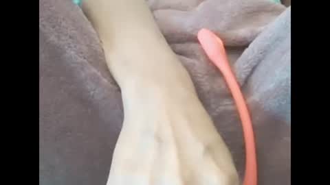 brunela online show from April 10, 9:36 am