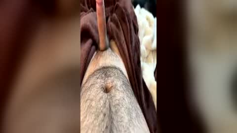 bubbahunter69 online show from July 3, 6:56 pm