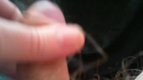 bullemoe online show from December 15, 9:16 am