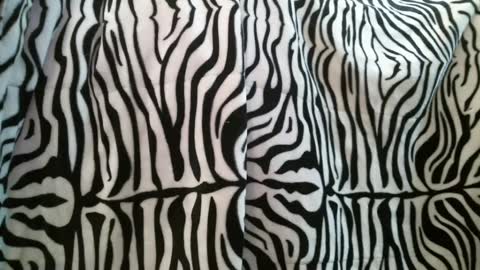 bustinfree online show from February 28, 3:37 pm