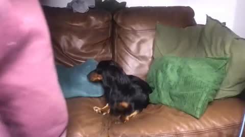 CamDoAttitude online show from February 21, 11:08 pm