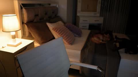 Camila buitrago online show from November 18, 11:37 pm