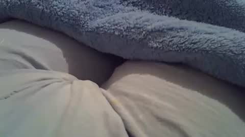 flash 50 tokens BIG CLIT  tits pussy. masturbation big clit 150 tokens fingers inside pussy 1000 tk  pump big clit 300 tk online show from November 12, 10:01 pm