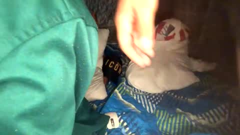 camivaron online show from January 13, 8:58 am