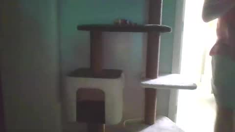 cammyman6900 online show from September 12, 4:14 am