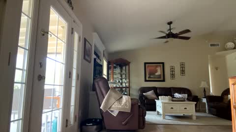 james online show from April 23, 9:16 pm