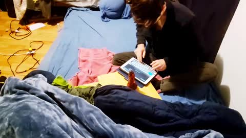 camtai12 online show from March 1, 9:18 am