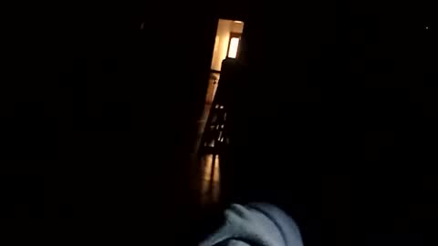 carlitito1 online show from February 18, 1:38 am