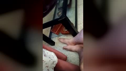 Charlie online show from July 12, 1:31 am