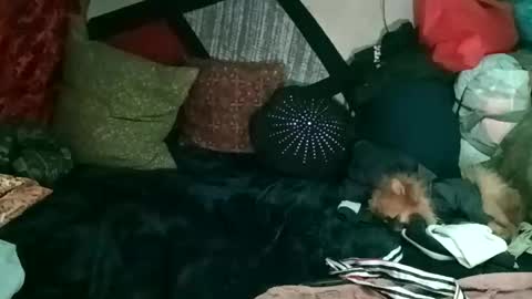 cassiialexandria online show from January 19, 1:04 am