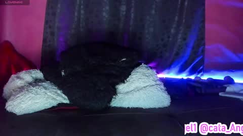 Snapshot of cata_angel1 chatting on October 6, 1:56 am Cata Angel online show from October 6, 1:56 am