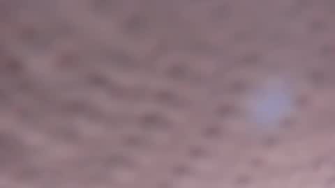 cata_n_cami online show from October 21, 3:22 am