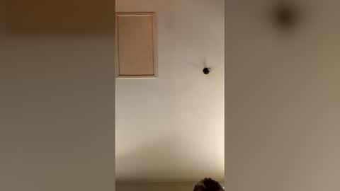 catalin40mosu online show from April 27, 5:05 am