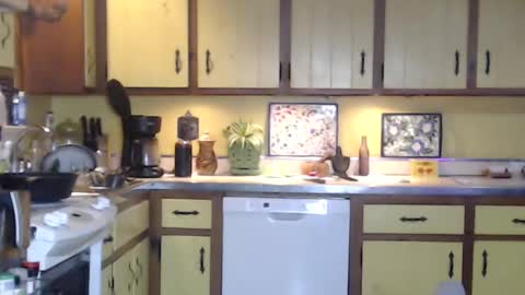 CATALYSTIC online show from February 20, 10:05 am