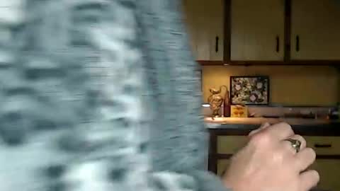 CATALYSTIC online show from September 8, 10:31 pm