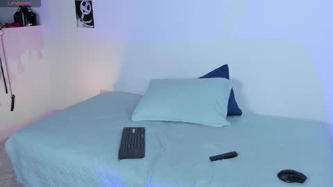 CattNamy online show from November 8, 6:38 am