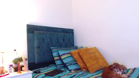 Cedrixx10 online show from November 15, 11:28 pm