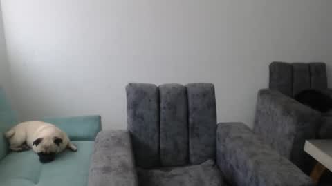 CELESTE online show from February 17, 6:51 pm