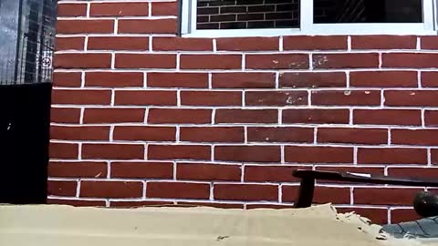 chachote9139 online show from November 21, 7:17 am