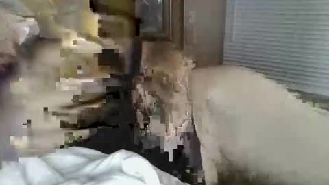 chadphillippi48 online show from November 26, 3:48 am