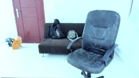 Kenji online show from February 17, 1:15 am