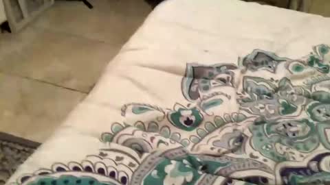 charliebroun online show from February 18, 6:15 am