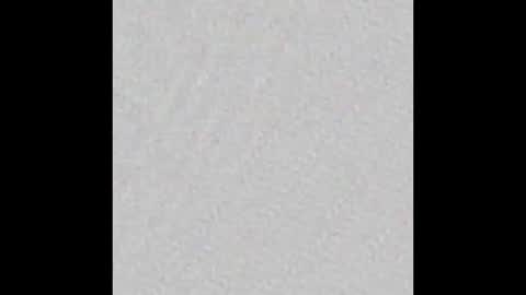 Charlotte online show from November 3, 7:04 pm