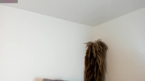 Charlotte  Everyday From 0700 to 1300 Col Time online show from November 9, 12:30 pm