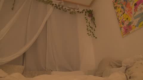 Charlotte online show from November 11, 7:05 pm