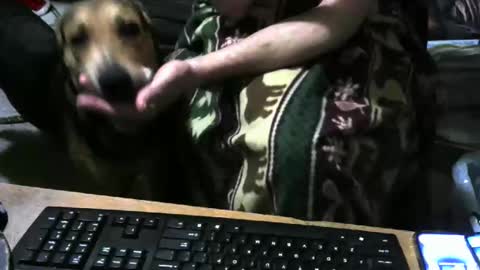 chefy online show from December 22, 11:39 am