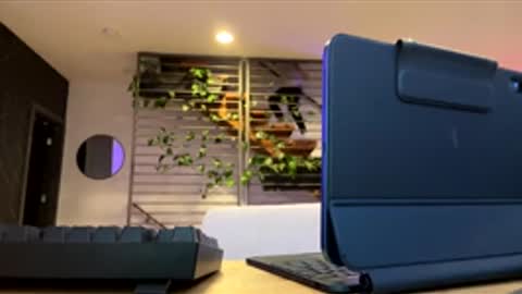 chellybear101 online show from December 4, 12:21 am