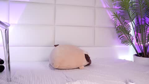 Julia online show from February 1, 2:26 am