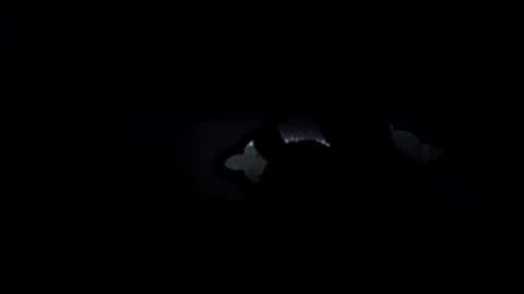 chompers online show from March 30, 8:14 am