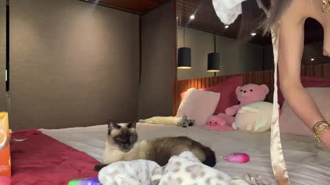 Christina Sage online show from October 30, 12:11 am