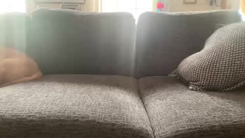 chunkyvista online show from April 19, 8:11 pm