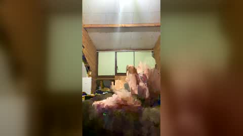 chzljqzbysno online show from January 14, 12:13 pm