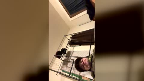 cooldadisalone online show from February 22, 10:40 am