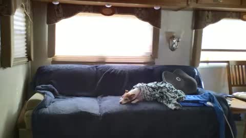 Chester  Melissa online show from February 24, 6:15 pm